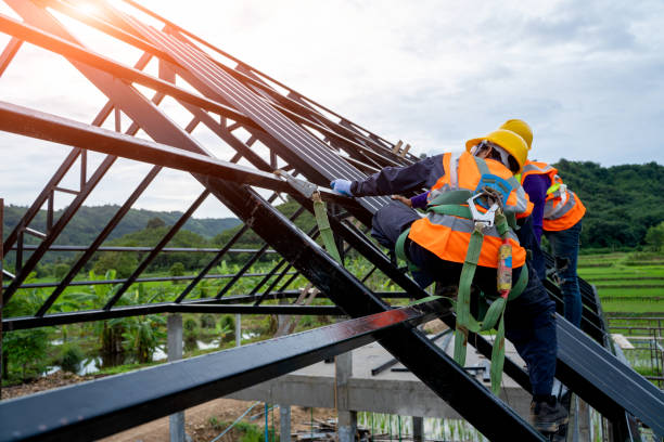 Best Roof Repair Services  in Larkspur, CA