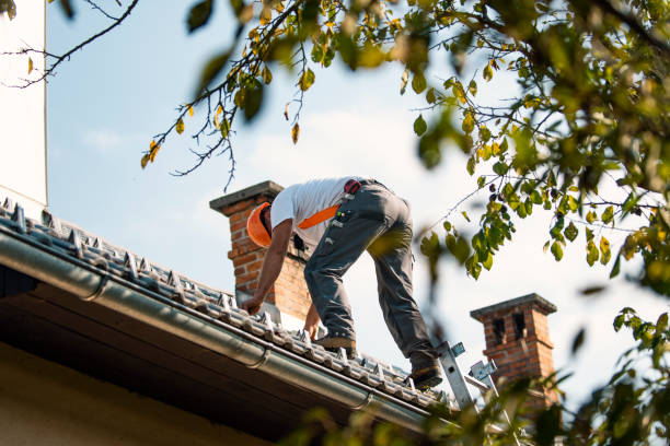 Best Gutter Installation and Roofing  in Larkspur, CA
