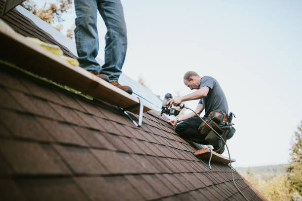 Roof Waterproofing Services in Larkspur, CA